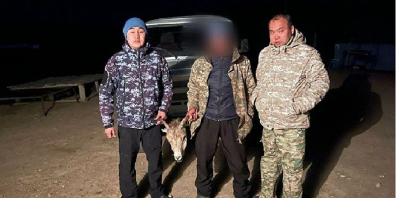 «13 миллион теңге шығын келді»: заңсыз аң атқан браконьер ұсталды