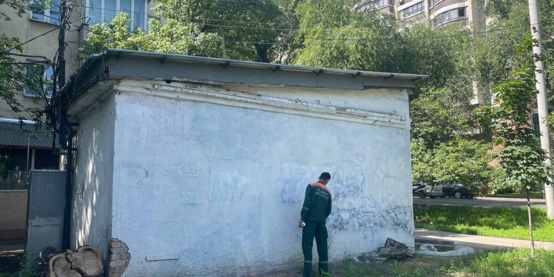 Алматыдағы Айкөркем Мелдеханға арналған мурал өшірілді