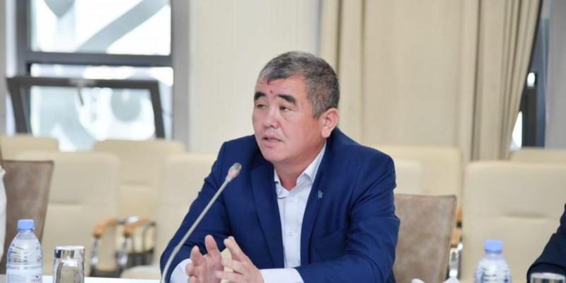 Жаңа Қазақстанның мақсаты – халықтың пікірімен санасу – Ғалымжан Елшібай