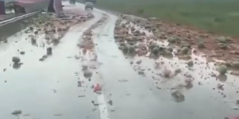 25 тонна қарбыз тиелген жүк көлігі аударылып қалды (ВИДЕО)