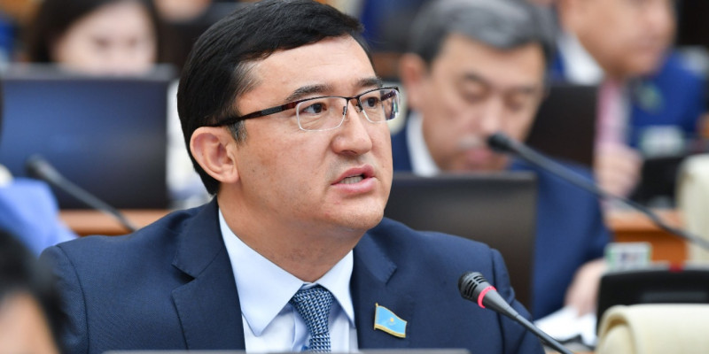 Тері мен жүн экспортына салынатын кедендік баж салығын алып тастау ұсынылды
