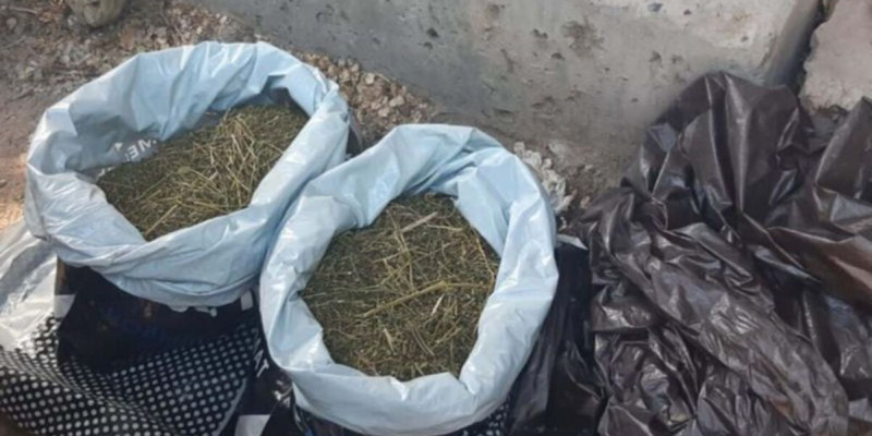 Шымкентте есірткі саудалағандар ұсталды