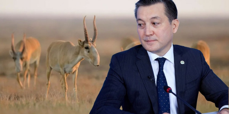 Серікқали Брекешев биыл еңбек демалысына шықпайтынын айтты