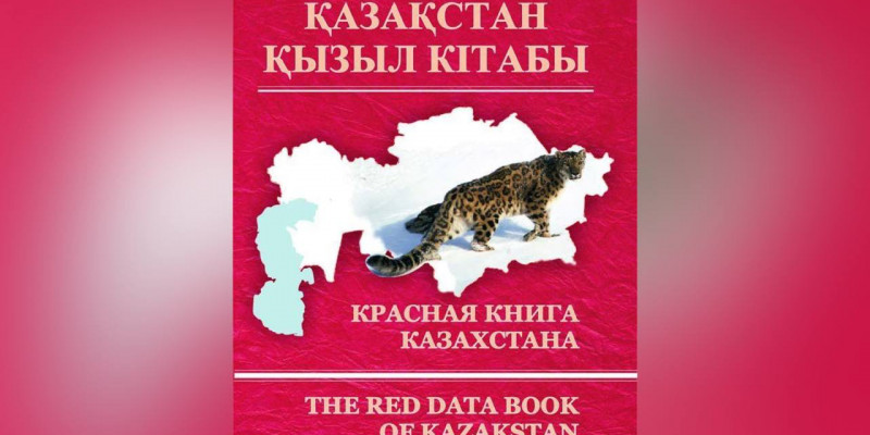 Қызыл кітаптың онлайн нұсқасы жасалатын болды