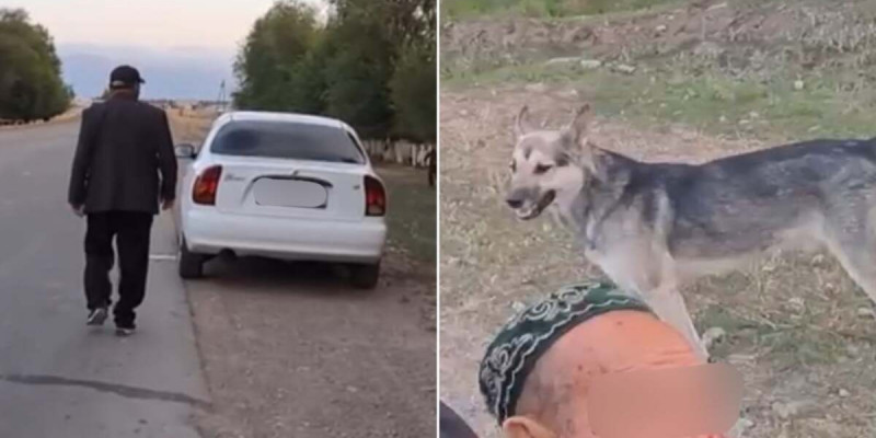 Велосипедтегі қарияны қағып кеткен жүргізуші ұсталды