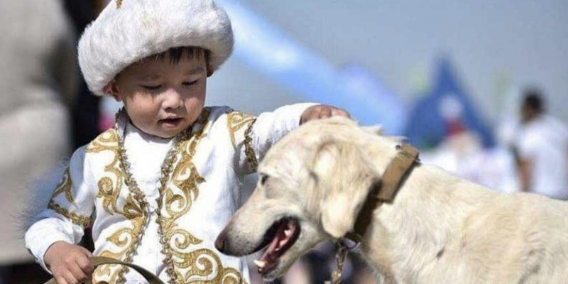 Ұлыңыз ер мінезді болып өссін десеңіз – маман кеңесі