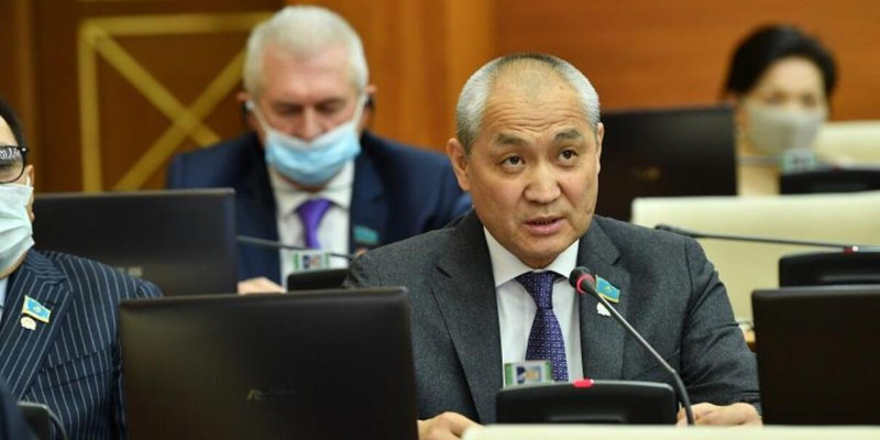 Президенттің жетіжылдық мерзімін биылғы сайлауға дейін енгізу қажет – «Жаңа Қазақстан» депутаты