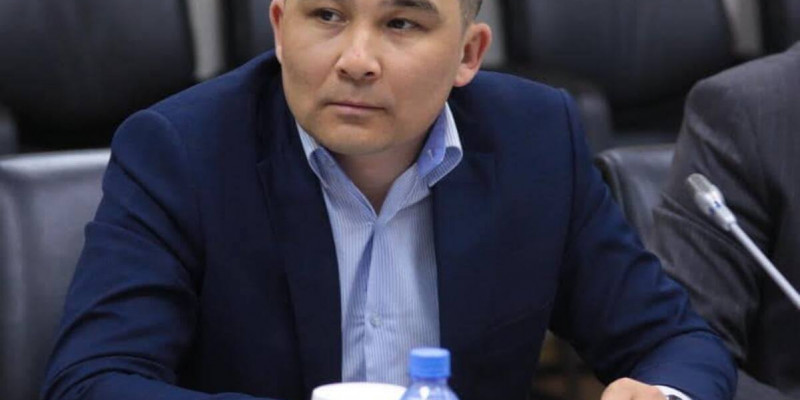 Саясаттанушы мемлекеттік мүдде тұрғысынан тиімді бағыттарды атады