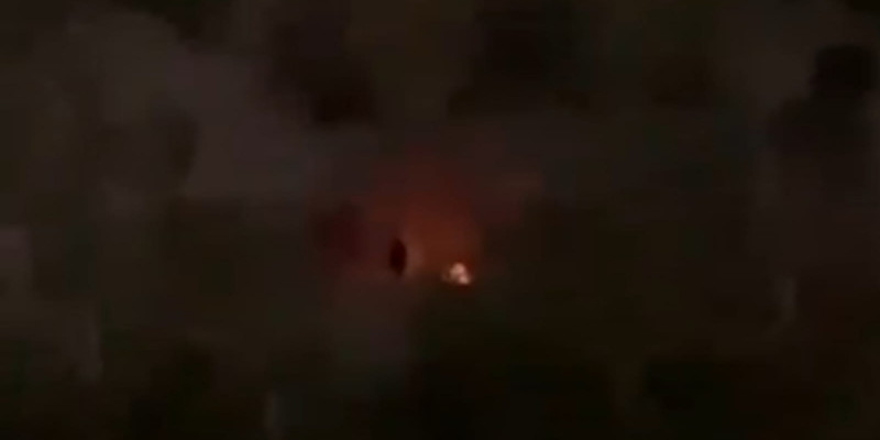 Алматыда ағаш өртеп жатқан адамның видеосы пайда болды