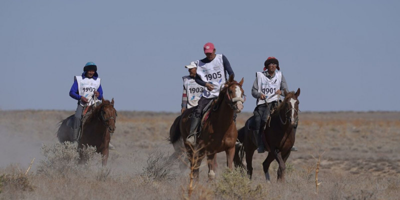 «Ұлы дала жорығы» Түркістанда мәресіне жетеді – Президент