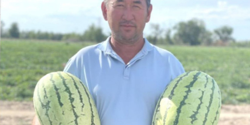 Егін егіп, нәсібін тапқан көпбалалы әке