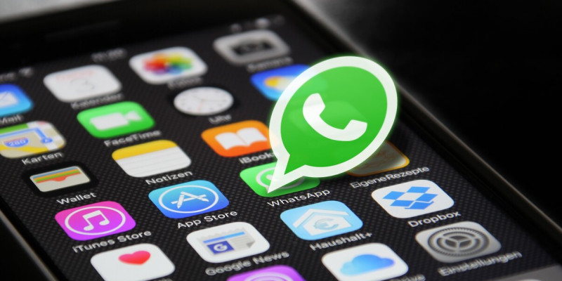 WhatsApp-тағы топқа қосылғандар 13 млн теңгесінен айырылды