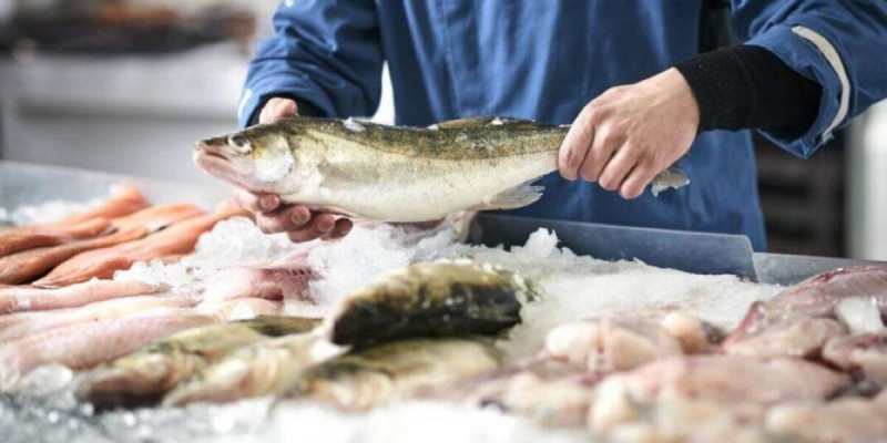 Әлихан Смайылов әкімдерге балық саласын дамытуды тапсырды