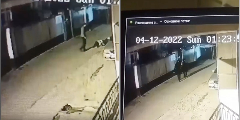 Қызды аяусыз соққыға жыққан жігіттің видеосы тарады (ВИДЕО)