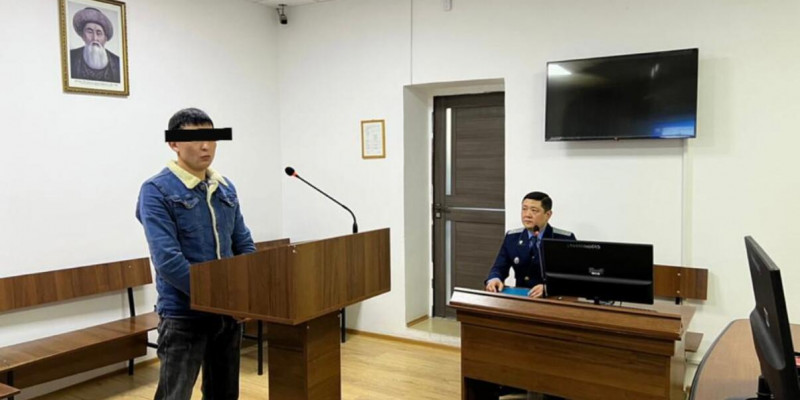 Қонаевта баланың көзінше мысықты өлтірген ер адамға үкім шықты