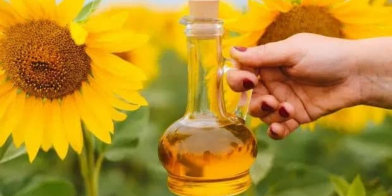 Күнбағыс майын өндіру 62% артты
