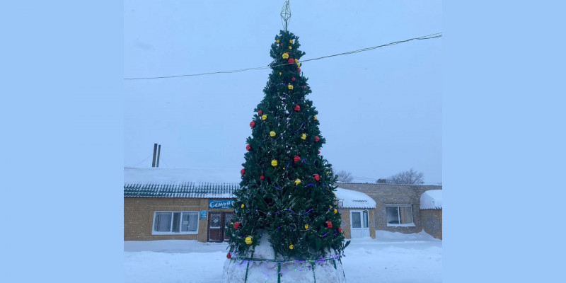 Павлодар облысындағы жаңажылдық шыршаға 7,8 млн теңге бөлінген