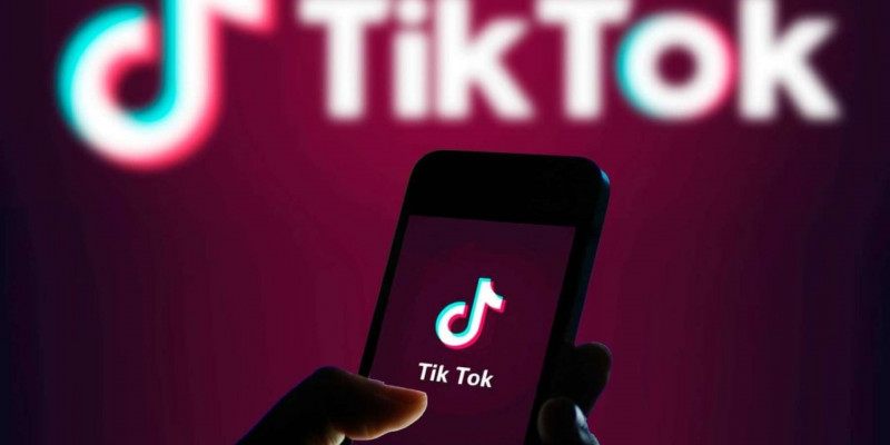 «TikTok-тағы ойыннан балалар суицид жасауда» – ІІМ түсініктеме берді