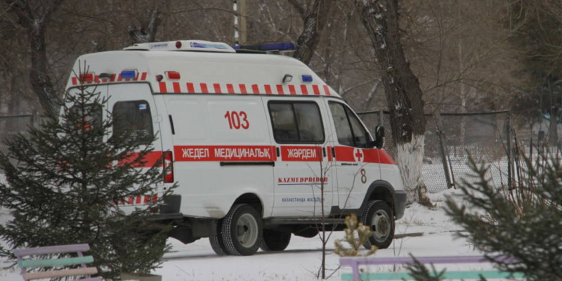 Семейде анасы мен қызы өз пәтерінен өлі табылды