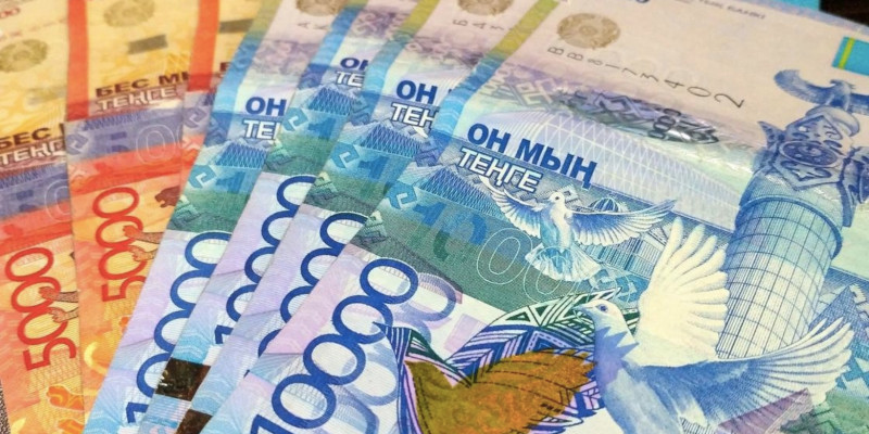 Елімізде академик-зейнеткерлерге өмір бойы 207 000 теңге төленеді 