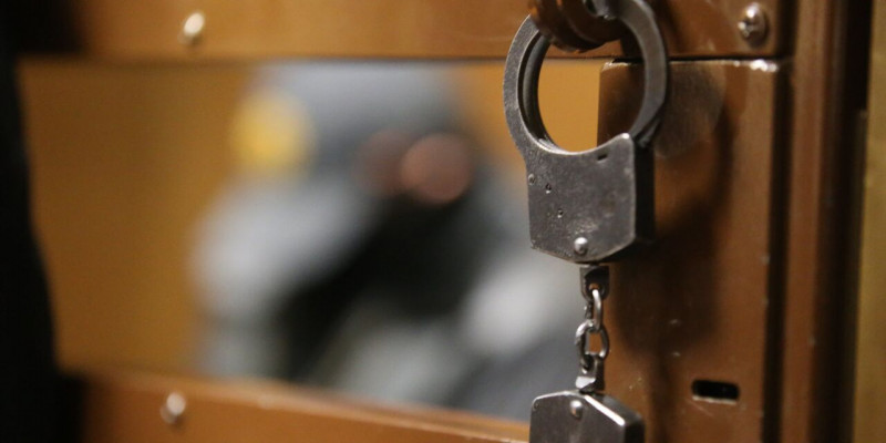 Ресейде Жириновскийдің ұлы қамауға алынды