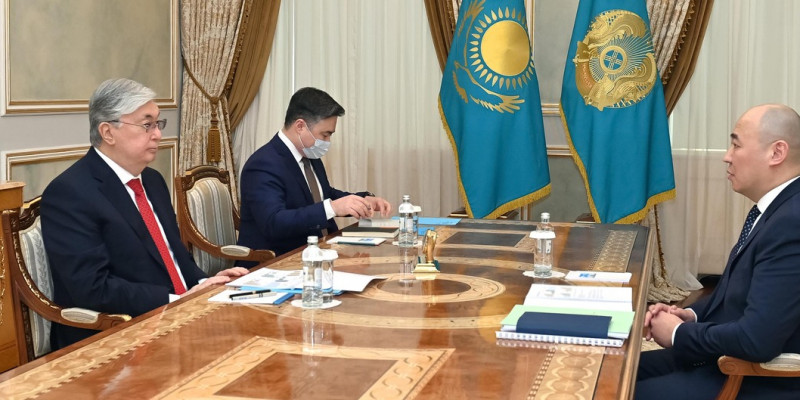 Президент «Бәйтерек» холдингінің басқарма төрағасын қабылдады