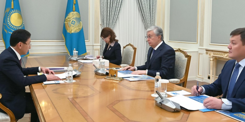 Мемлекет басшысы Ұлттық спорт қауымдастығының президентін қабылдады
