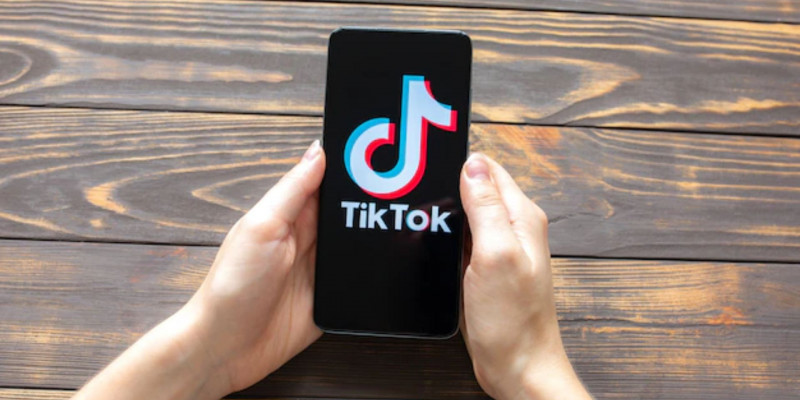 TikTok-та құмар ойын ұйымдастырған алматылықтар сотталды