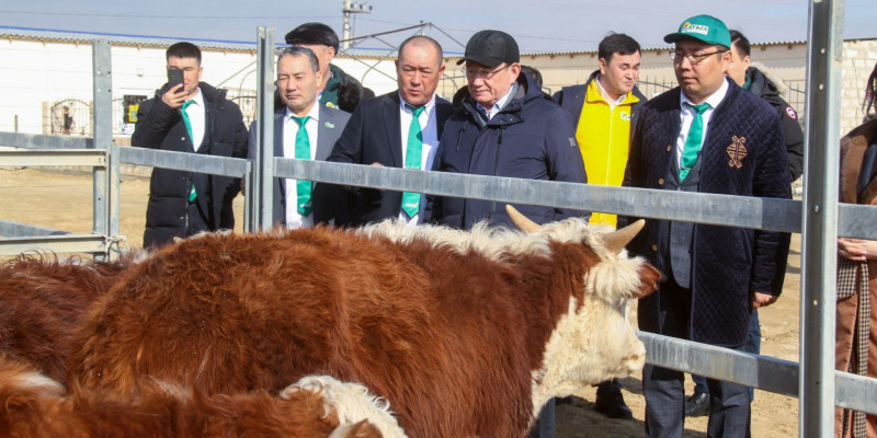 Ауыз су мәселесі – Маңғыстау облысының басты мәселелерінің бірі