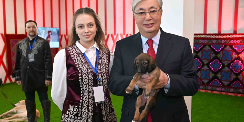 Асыл тұқымды тазы өсіруші Президентке тазының күшігін сыйға тартты
