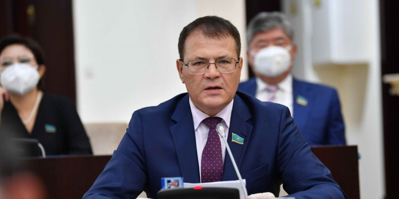 Сенатор: шетелдік бизнесмендер Қазақстан бюджетіне 4 млрд теңгеден астам қарыз