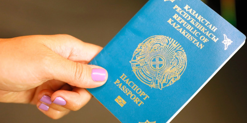 Елімізде кімдерге паспорт тегін беріледі?