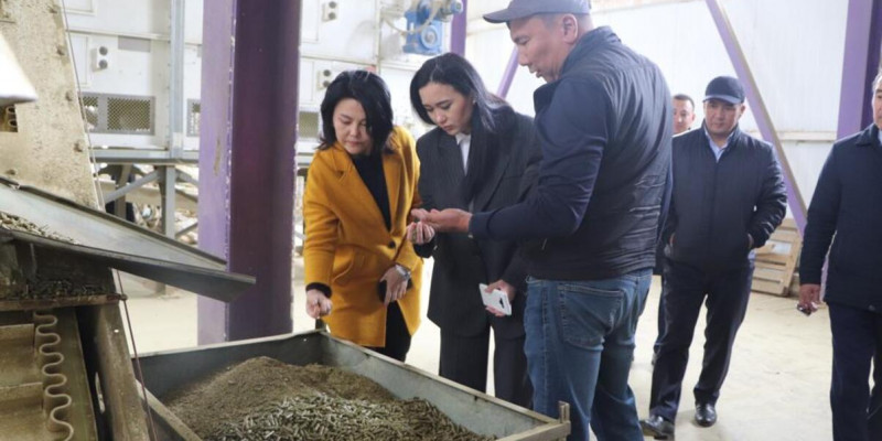 «AMANAT»: шаруалар мемлекеттік қолдау шараларының түйінді мәселелерін талқылады