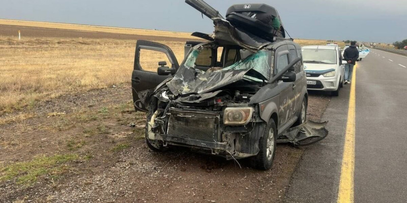 Жетісу облысында көлік жылқыға соғылып, бір адам қаза тапты