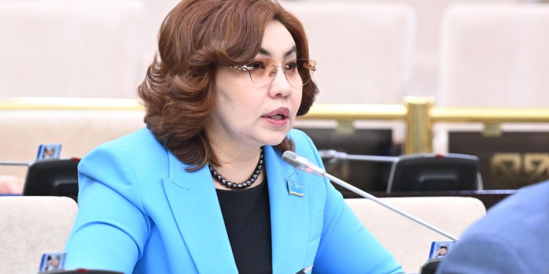 Бибігүл Жексенбай дәрігерлердің түйткілді мәселелерін жеткізді