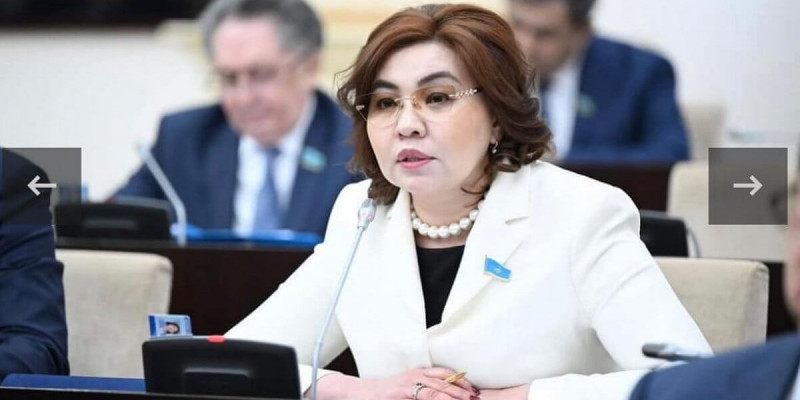 Жолдауда экономиканың құрылымына қатысты реформаның басты бағыттары айтылды - Бибігүл Жексенбай