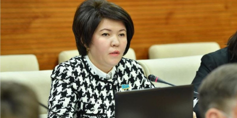 Депутат биылғы Президент Жолдауының басты ерекшеліктерін айтты