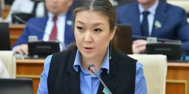 Зәкиева бала жәбірлегендерді жазалайтын арнайы бап енгізуді ұсынды