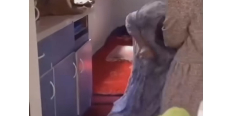 «Енесі келінін аяусыз ұрып жатыр»: Желіде сұмдық оқиғаның видеосы тарады