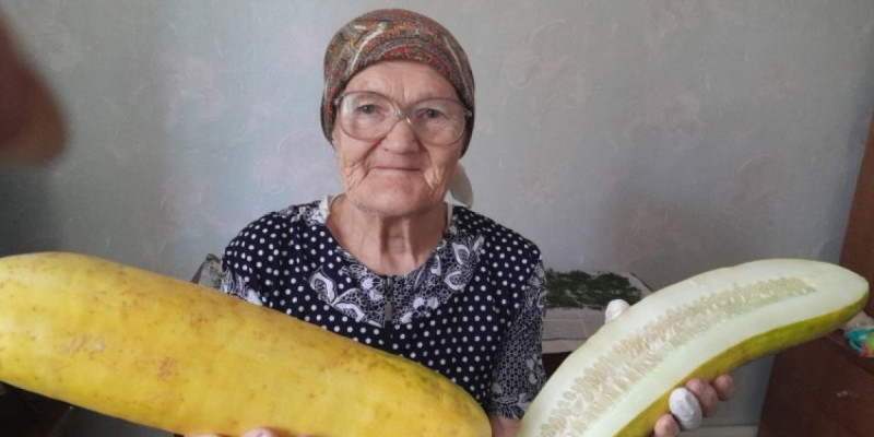 Павлодарда зейнеткер алып қияр өсірді