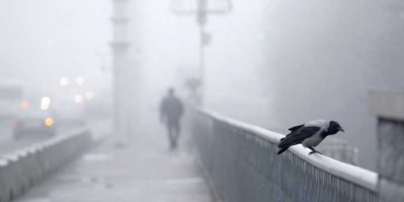 Бірнеше өңірде ауа райына байланысты ескерту жасалды