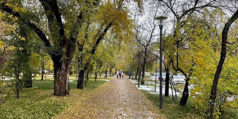 14 қарашаға арналған ауа райы болжамы