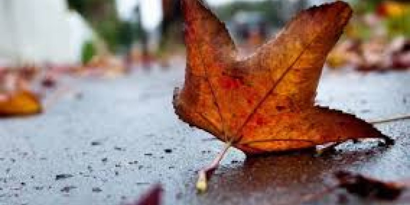 Қазақстанның 11 өңірінде дауылды ескерту жарияланды