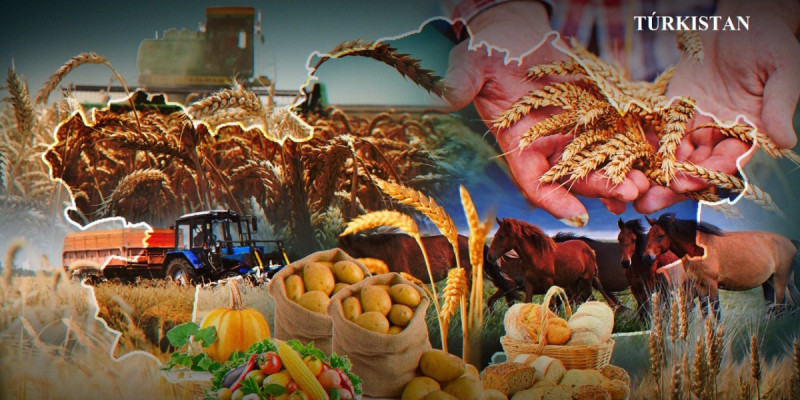 Бүгін – ауылшаруашылығы қызметкерлері күні