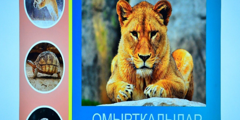 Абай университетінде алғаш рет электронды атлас әзірленді