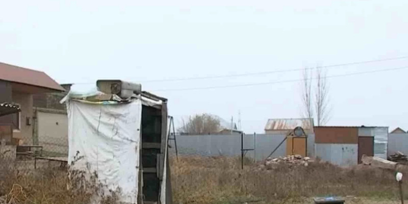 Алматы облысында 9 жастағы қызды белгісіз біреу зорлаған