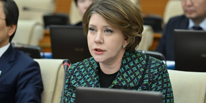 Жалғыз үйінен шығарып жіберуге, коллекторларға кредит сатуға шек қою: Мәжіліс жаңа заң жобасын әзірледі