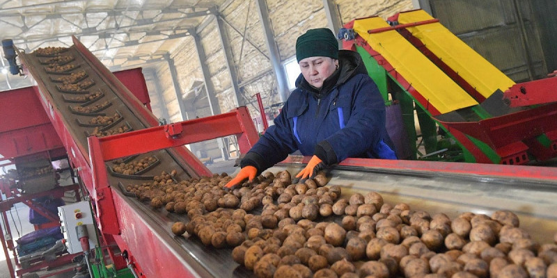 Жыл қорытындысы: Биыл азық-түлік өндірісінің көлемі 1,9%-ға өсті