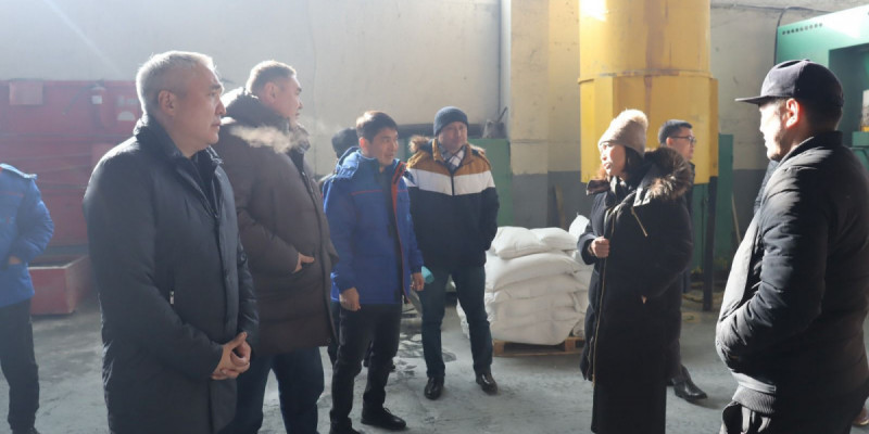 Мәжіліс депутаты Талдықорғандағы отандық кәсіпорындардың жұмысымен танысты