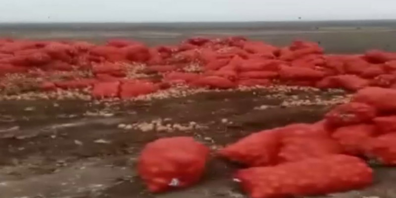 Атыраудағы қоқыс полигонына 20 тонна пияз төгілген